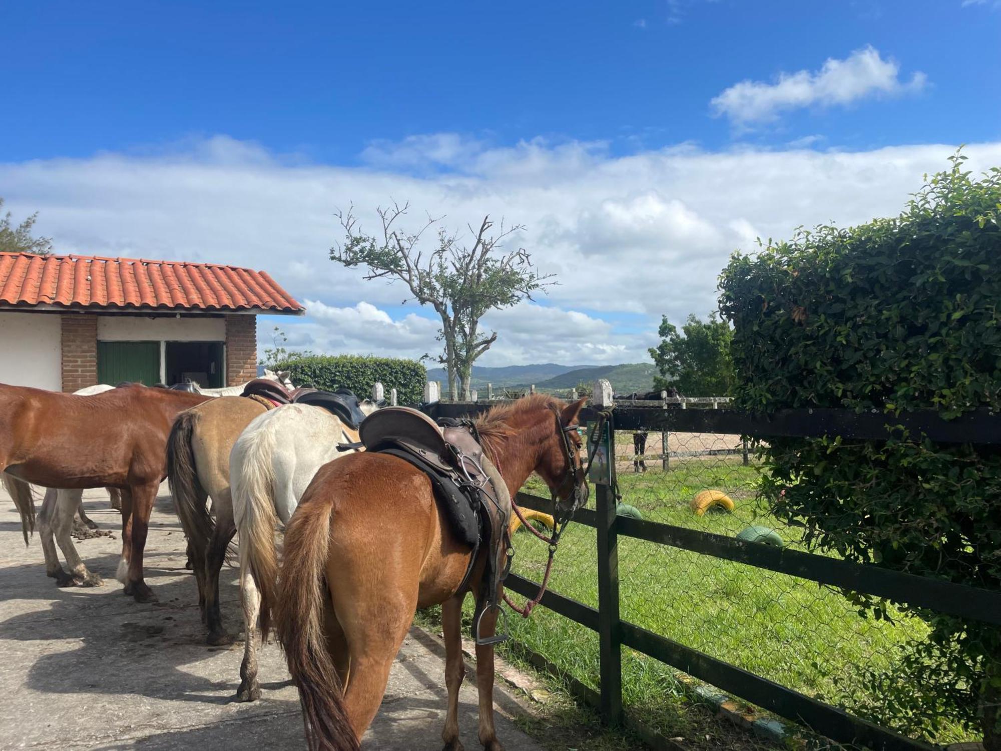 Gravata Flat No Condominio Monte Castelo Melhor Localizacao , Wi-Fi, Sky E Ar Екстериор снимка